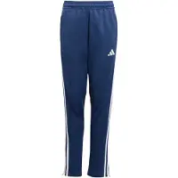 Adidas Tiro 25 Essentials Winterized Training Verryttelyhousut