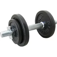 FINNLO 10kg Käsipainot