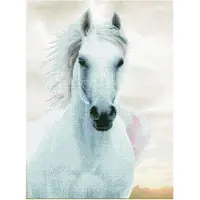 Diamond Dotz Imperial Stallion 65x48cm timanttityö