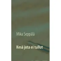 Seppälä, Kesä jota ei tullut - Ajatuksia