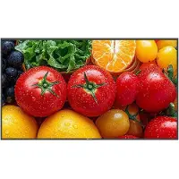 AG Neovo QM5503 138,7cm(55") (Speditionsversand) (QM5530011M0000)