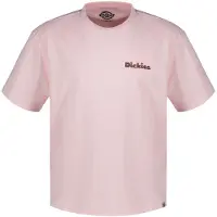 Dickies Slayden Gd Lyhythihainen T-paita