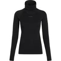 Icebreaker 300 Merinofine Polar Roll Neck Pitkähihainen Aluspaita