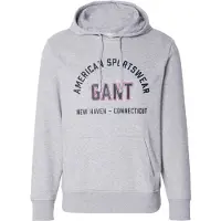Gant Printed Graphic Hoodie - Grey - XXL