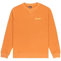 Quiksilver Salt Water Graphic Collegepaita