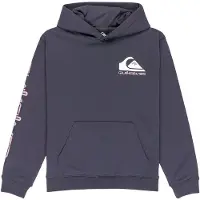 Quiksilver Omni Logo Kids Huppari india ink Koko T10