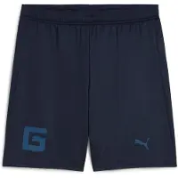 Puma Girona Fc 25/26 Replica Shortsit