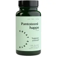 Great Earth Pantoteenihappo (Time Release) 500 mg 120 tabl ravintolisä