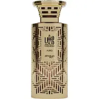 Sonstiges Modhesh Aura Eau de Parfum 100 ml