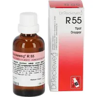 Dr. Reckeweg DR.Reckeweg R55 H388FI 50 ML homeopaattinen valmiste