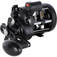 Penn Rival Ii Level Wind Lc 20l Jigging-kela