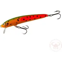 Nils Master Invincible Shallow 12 cm vaappu