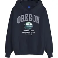 Jack & Jones Bradley Usstate Hoodie Sininen M Mies