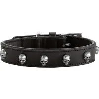 Hunter Koiran nahkapanta Tijuana, ruskea