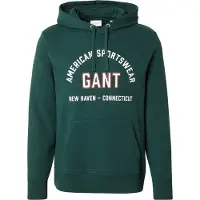 Gant Printed Graphic Hoodie - Green - XXL
