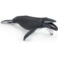 Papo Ryhävalas - l: 30 cm - - OneSize - Eläinfiguurit