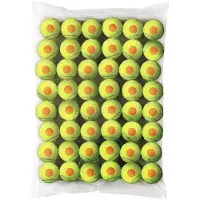 Wilson Starter Orange -tennispallo, 48 kpl