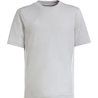 Adidas Pelipaita Tabela 23 - Harmaa/valkoinen Lapset, koko 116 cm