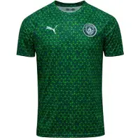 Puma Manchester City Treenipaita Pre Match - Green Terrain - , koko Small