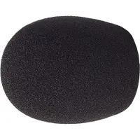 Rycote Mic Foam Reporter 30/55