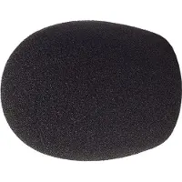 Rycote Mic Foam Reporter 35/50