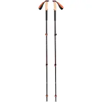 Black Diamond trail cork trekking poles
