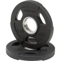 Master Fitness Gummiklädd Skiva Deluxe, Viktskivor gummerade