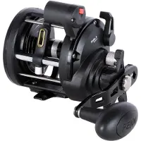 Penn Rival Ii Level Wind Lc Lh 30l Jigging-kela