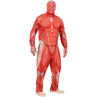 Widmann "ANATOMY FAST SUIT" (takki, housut, hanskat, maski)