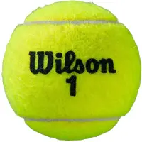 Wilson Roland Garros All Court -tennispallo, tuplapakkaus