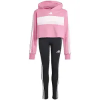 Adidas Seasonal Essentials Tiberio 3 Stripes Fleece Leggings Verkkapuku