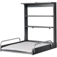 Roba Seinään Kiinnitettävä Hoitopöytä & Hoitoalusta, Anthracite Lacquered/Silver Grey