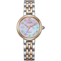 Citizen Eco-Drive Ladies EM0996-84Y