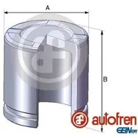 AUTOFREN SEINSA brake calliper piston