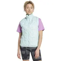 Adidas Terrex Xperior Climawarm+ Primaloft Loose Fill Hybrid Liivi