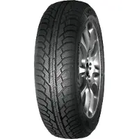 Neolin NeoWinter Ice 205/55R16 91T 3PMSF