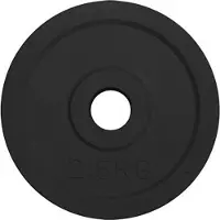Softee Rubber Coated 2.5kg Painolevy