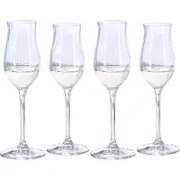Spiegelau Digestiivilasit, 13,5 cl
