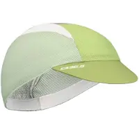 Q36.5 Signature Lippis