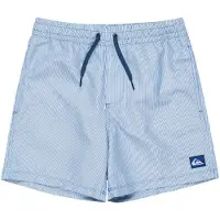 Quiksilver Everyday Deluxe Volley 14 Uimashortsit