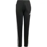 Adidas Tiro 25 Essentials Winterized Training Verryttelyhousut