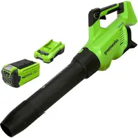 Greenworks Akku lehtipuhallin G40ABK2II; 40 V; 1x2,0 Ah akku
