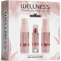 Wellness Premium Products VolumePLEX Set (Shampoo 500 ml, Conditioner