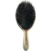 Wellness Premium Products Luxury Hair Brush With 100% Boar Bristles