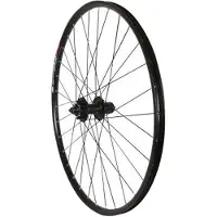 Massi Black Gold 3 Afs 29´´ Disc Mtb Takapyörä