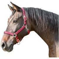 Foga Mustang Cob Halter Red/Black