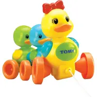 Tomy Ankanpoikasten Perhe
