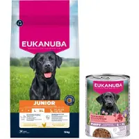 Eukanuba Dog Junior Large 15 kg koiran kuivaruoka
