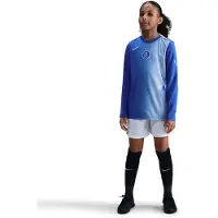 Nike Chelsea Harjoituspaita Dri-FIT Academy Pro Warm Pre Match 3. - Sininen/Kenttähopea Lapset - , koko M: 137-147 cm
