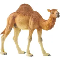 Schleich Dromedaari - 14832